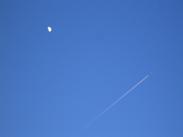 月と飛行機雲 九夜月 Photo Sharing Photozou