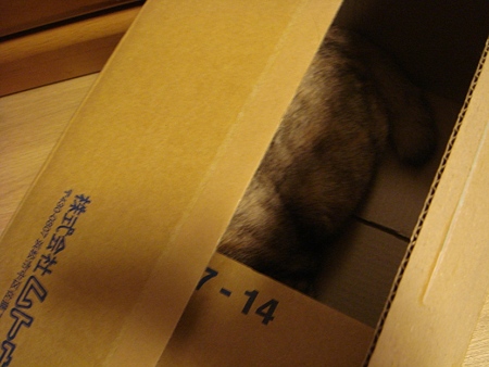 DSC04750