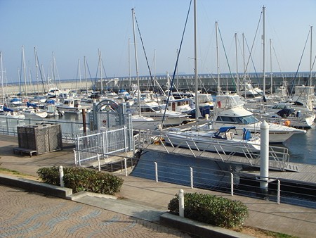 DSC01869.JPG