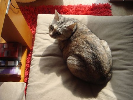 DSC02109