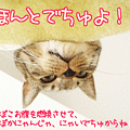 090109-【猫アニメ】ここもぽかぽかでちゅよ！