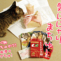 090309-【猫アニメ】気ににゃる包みにゃ！