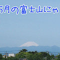 090515-５月の富士山にゃ！