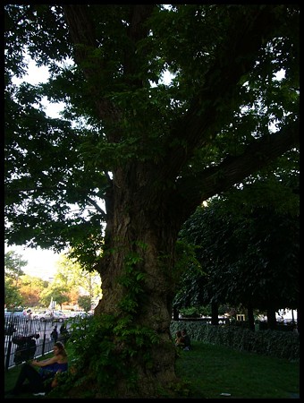 P1700008