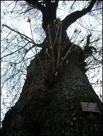 P1910008