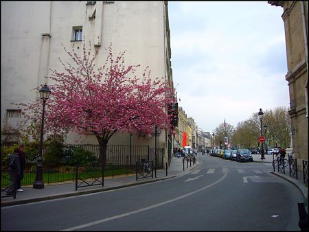 P1950428