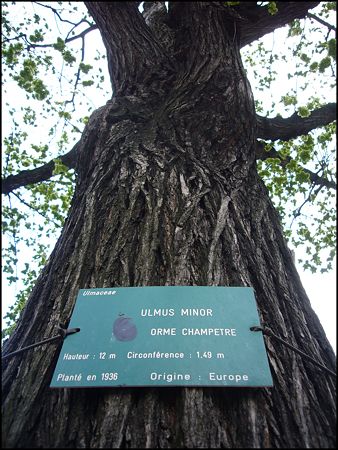 P1950570