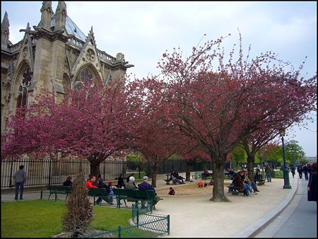 P1950473
