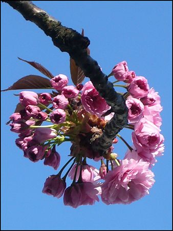 P1950785