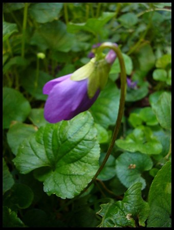 052