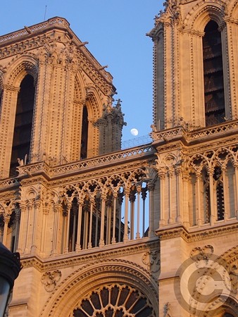 P1460354