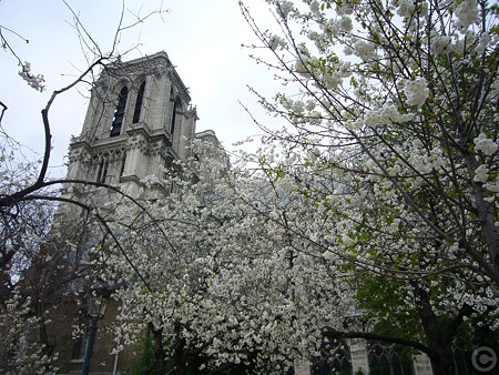 P1510392
