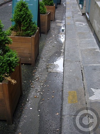 P1540446
