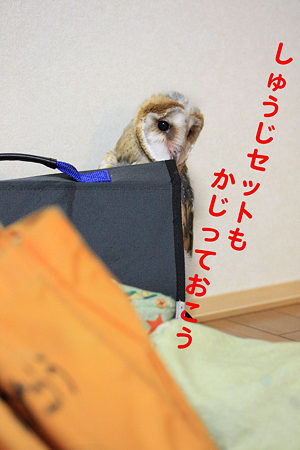 mame H21.1.13 冒険9