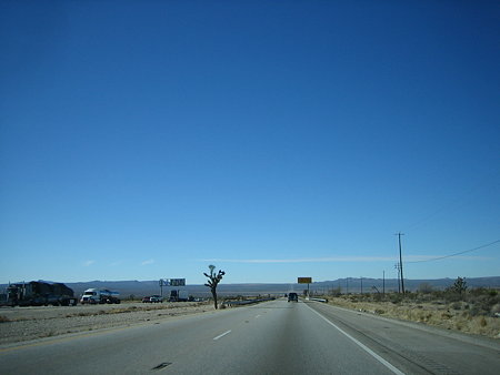 20081206_299
