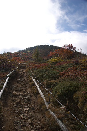 逢ノ峰を目指す(845)