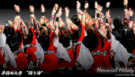 早稲田大学 “踊り侍”_東京大マラソン祭り2008_bf1