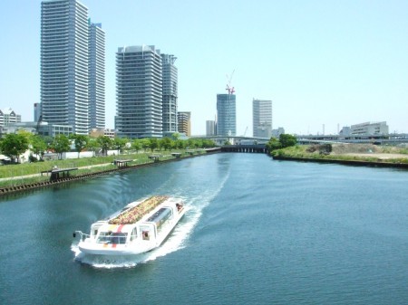 横浜港、シーバス