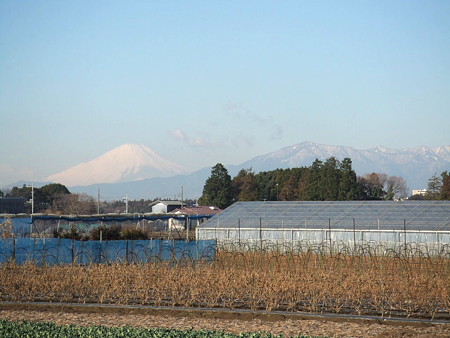 富士山と大山・丹沢山塊