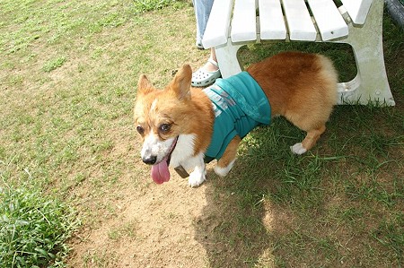 DSC01772