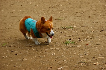 DSC03351