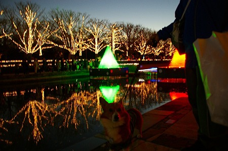 DSC05026