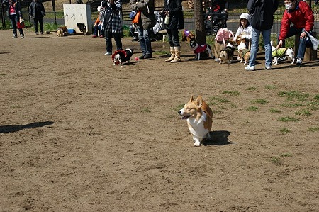 DSC06994