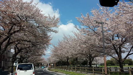 20140406_103034