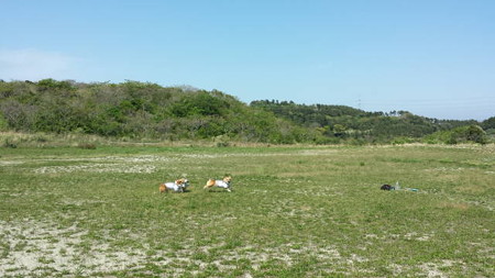 20140427_133043