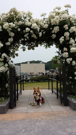 20140525_110840