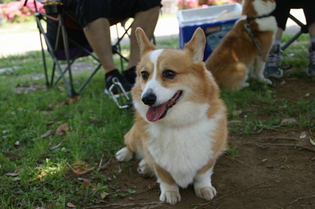 DSC03542