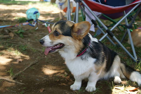 DSC03553