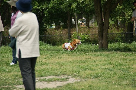 DSC07926