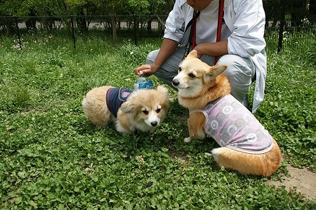 DSC07956