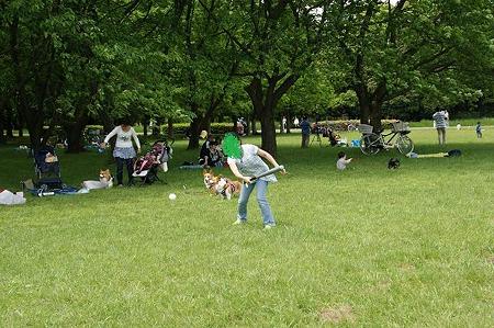 DSC08049