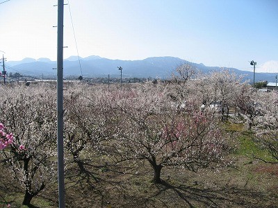 IMG_1745