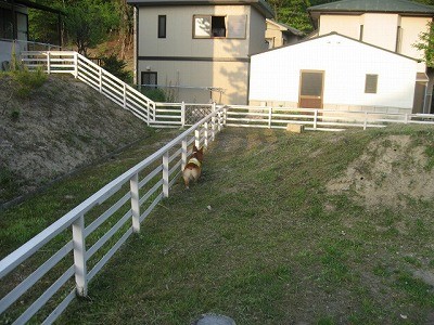 IMG_0650