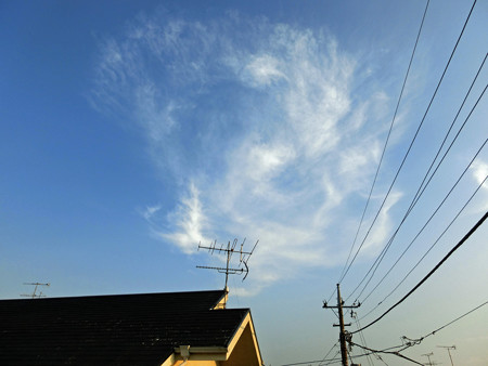 CIMG0220