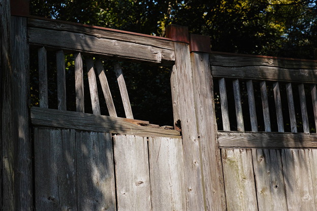 SDIM0788