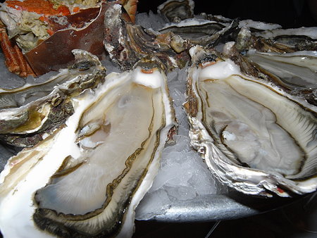 生牡蠣 アップ
