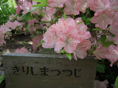 DSCN4327