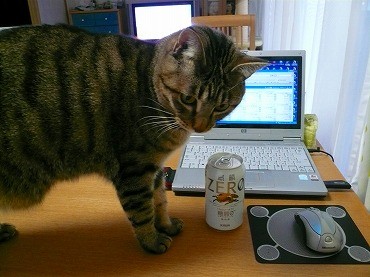 みーちゃんとZEROP1070394.jpg