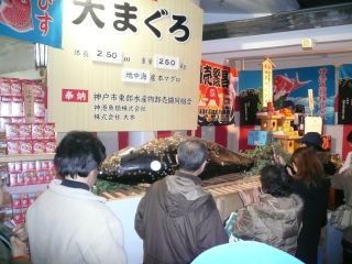 P1070749_320