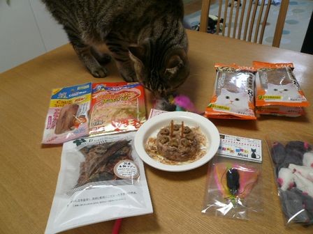 みーちゃんとプレゼント