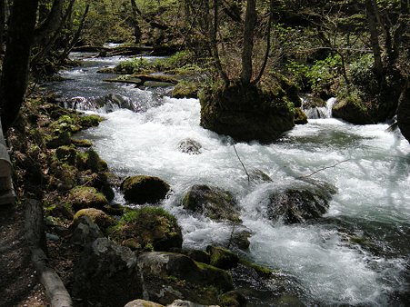 奥入瀬渓流　石ヶ戸の瀬