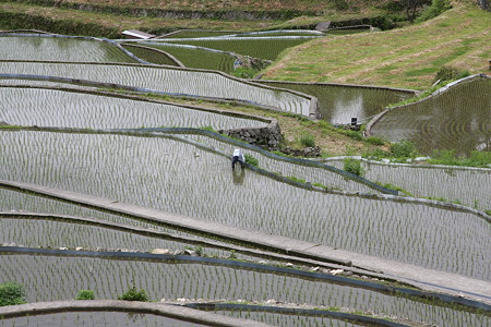 井仁の棚田