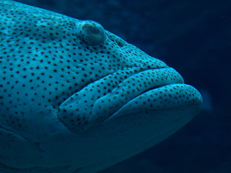 PC071413