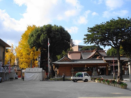 福岡の紅葉スポット～櫛田神社: 路傍の花たち