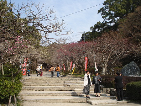 DSC00799