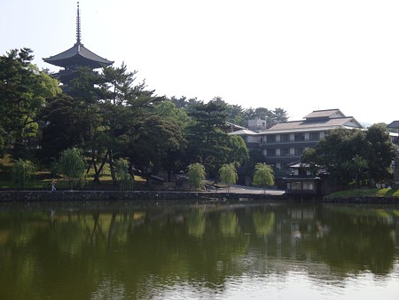 興国寺 五重塔